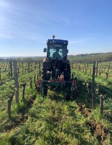 La certification TERRA VITIS